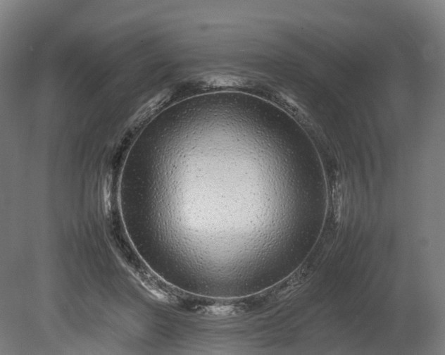 X0000080110406200612151652