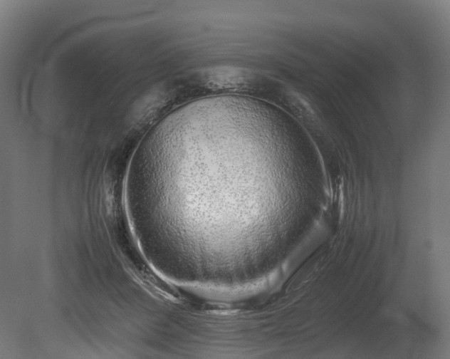 X0000080110408200612151652