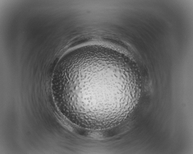 X0000080110409200612151652