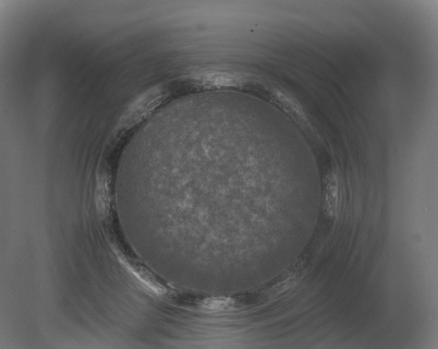X0000080110410200612151652