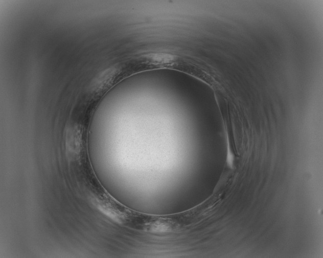 X0000080110412200612151652