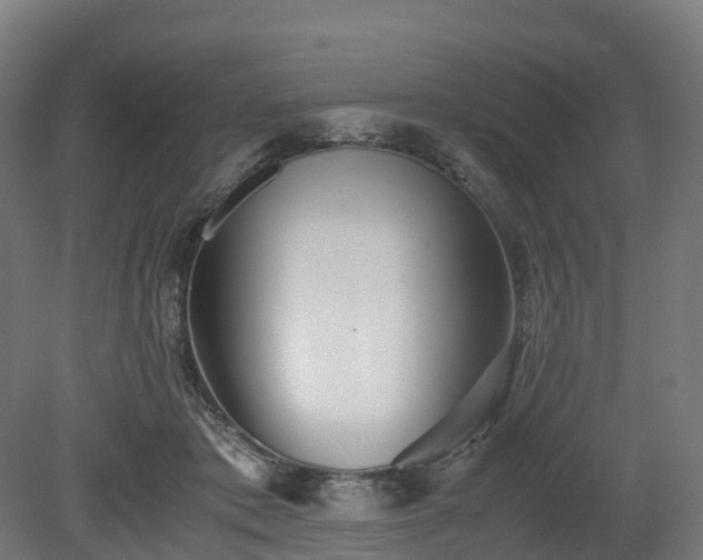 X0000080110413200612151652