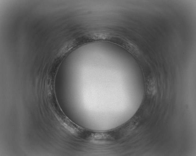 X0000080110414200612151652