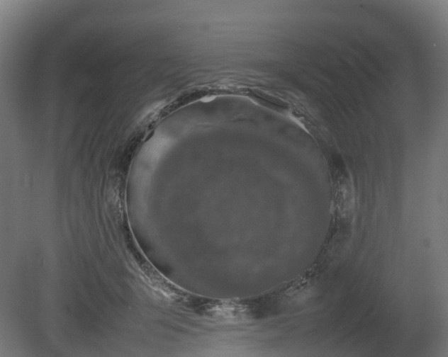 X0000080110415200612151652