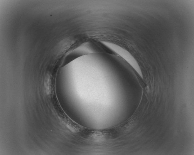 X0000080110416200612151652