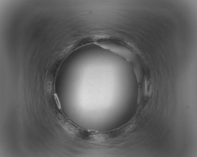 X0000080110417200612151652
