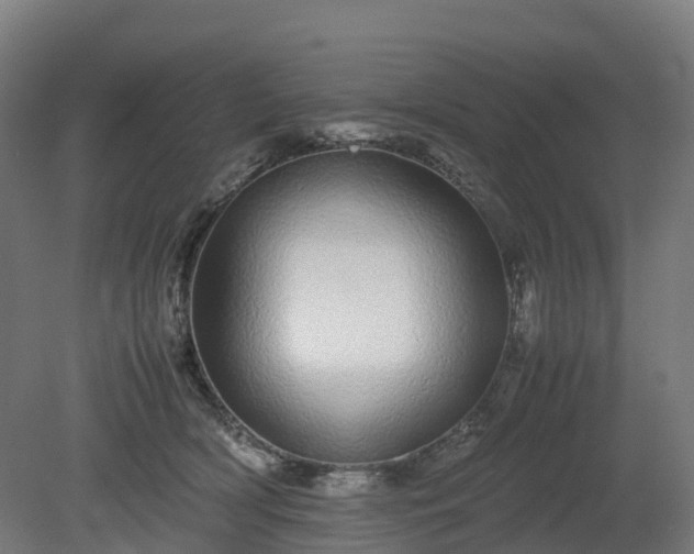 X0000080110418200612151652