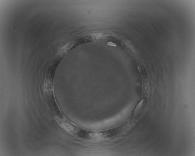 X0000080110419200612151652