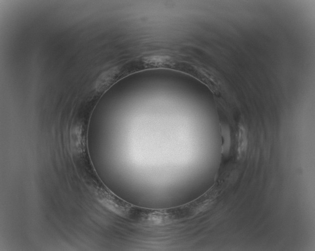 X0000080110420200612151652