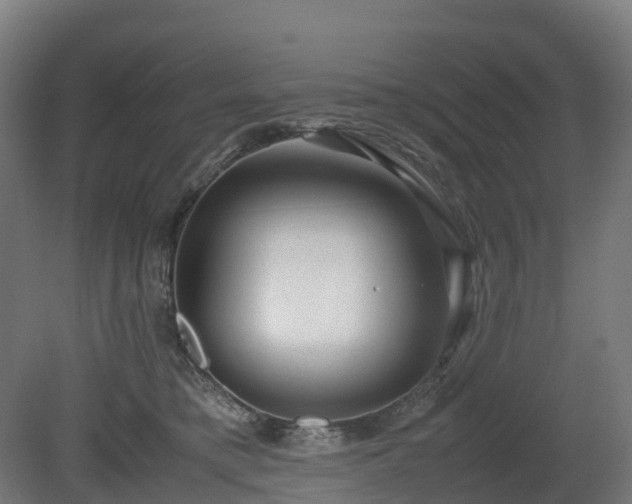 X0000080110421200612151652