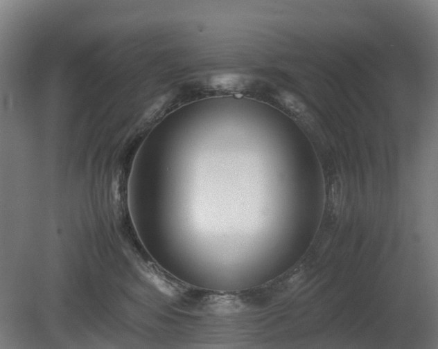 X0000080110424200612151652