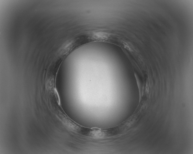 X0000080110425200612151652