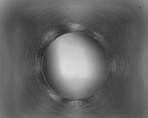X0000080110426200612151651