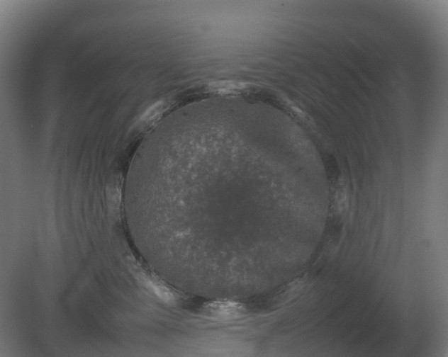 X0000080110427200612151651
