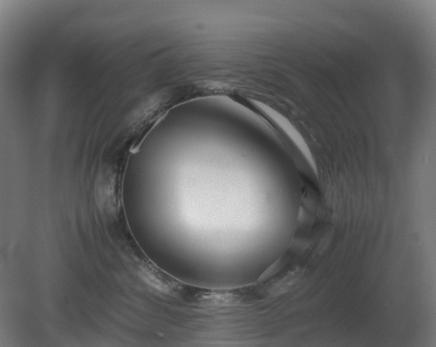 X0000080110428200612151651