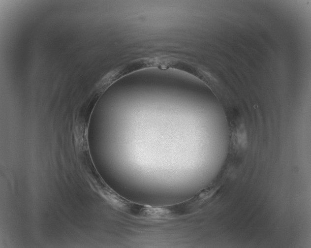 X0000080110429200612151651