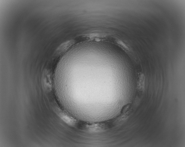X0000080110430200612151651