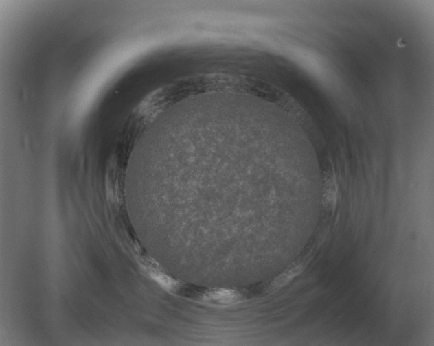 X0000080110431200612151651