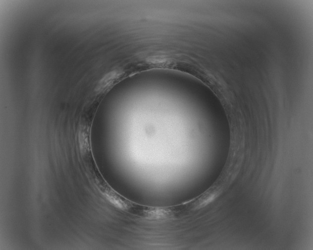 X0000080110432200612151651