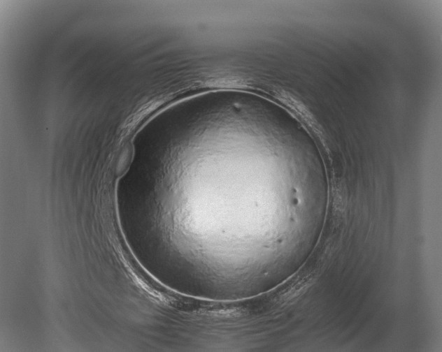 X0000080110433200612151651
