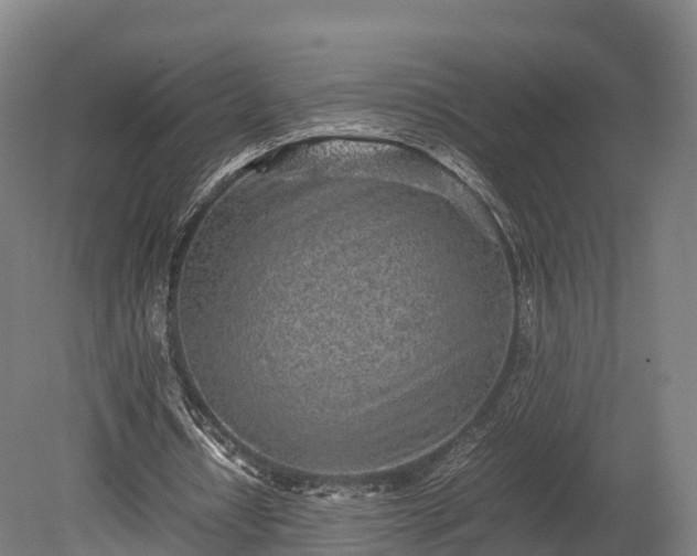 X0000080110434200612151651