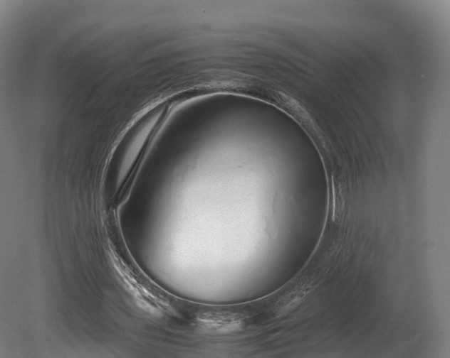X0000080110435200612151651
