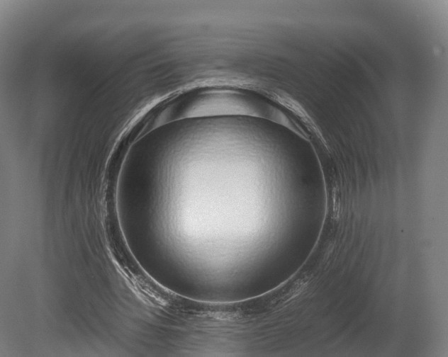 X0000080110436200612151651