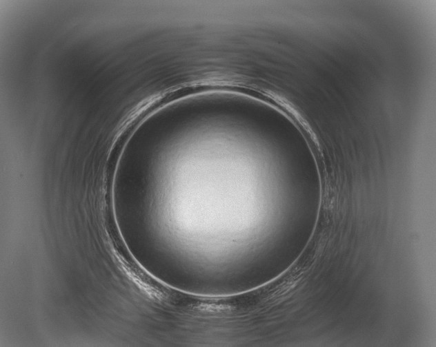 X0000080110437200612151651