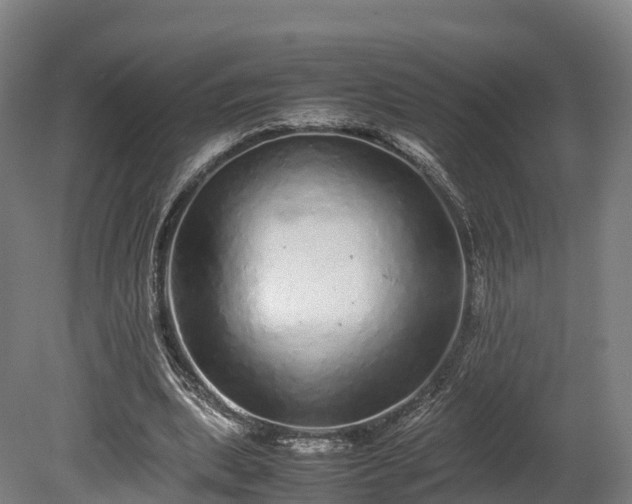 X0000080110439200612151651
