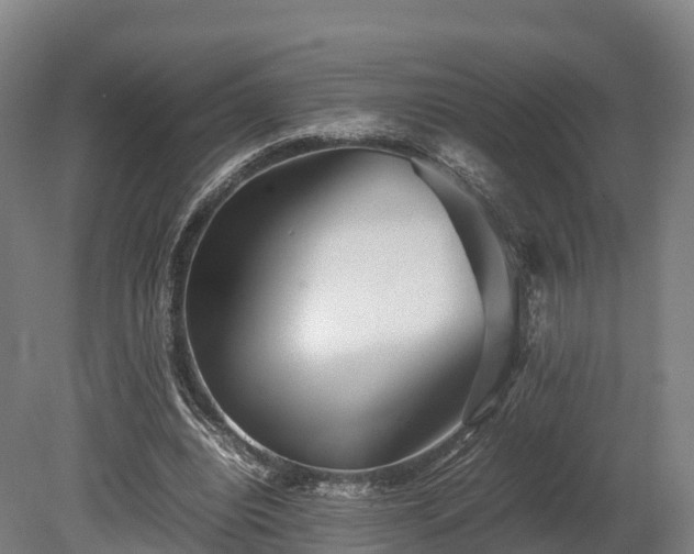 X0000080110440200612151651