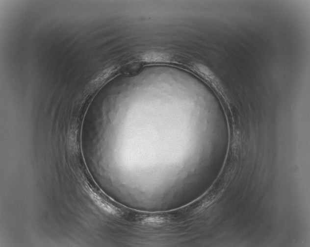 X0000080110441200612151651