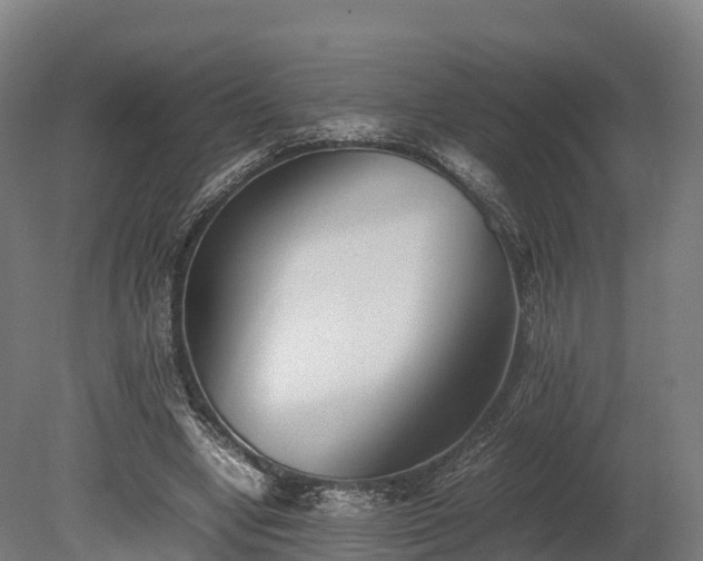 X0000080110442200612151651