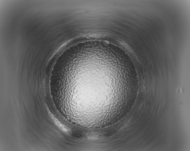 X0000080110444200612151651