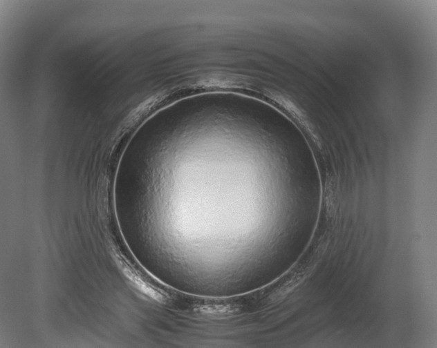 X0000080110445200612151651