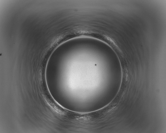 X0000080110447200612151651