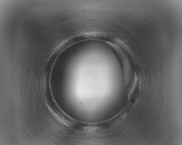 X0000080110448200612151651