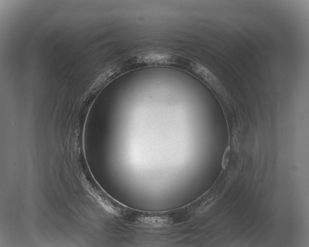X0000080110449200612151651