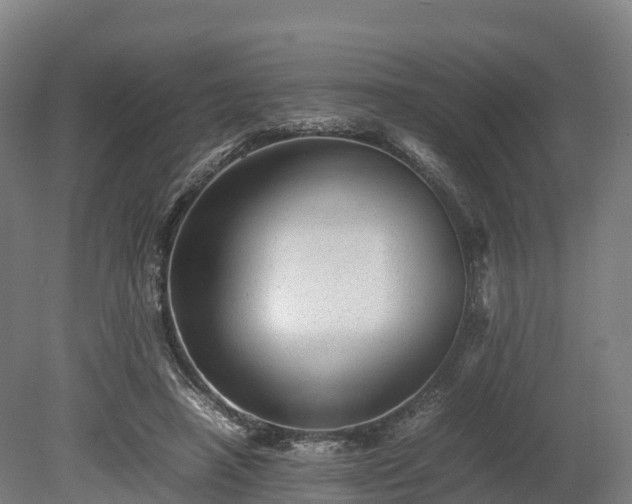 X0000080110450200612151651