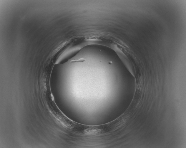 X0000080110452200612151651