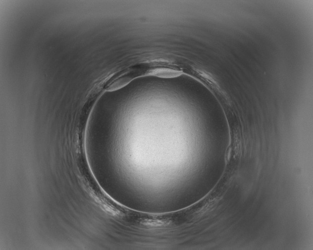 X0000080110453200612151651