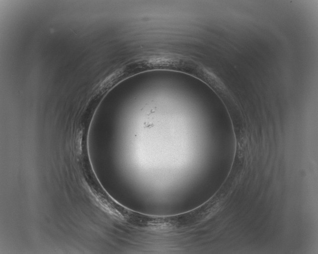 X0000080110454200612151651