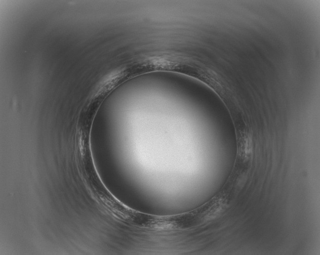 X0000080110456200612151651