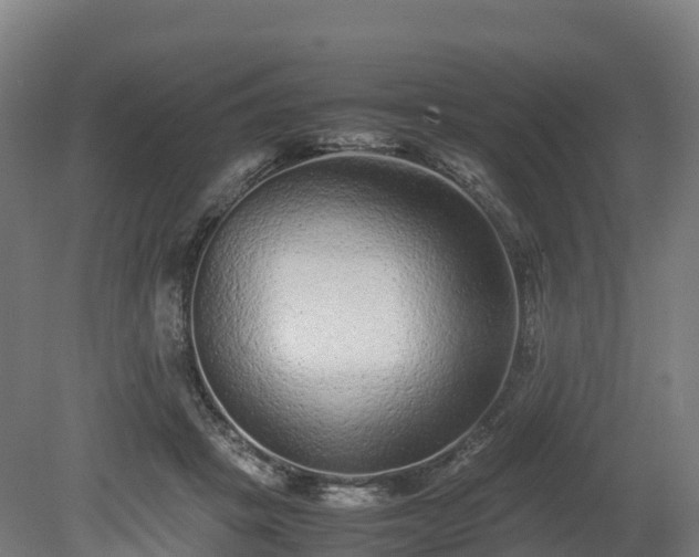 X0000080110457200612151651
