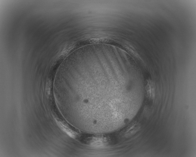 X0000080110458200612151651