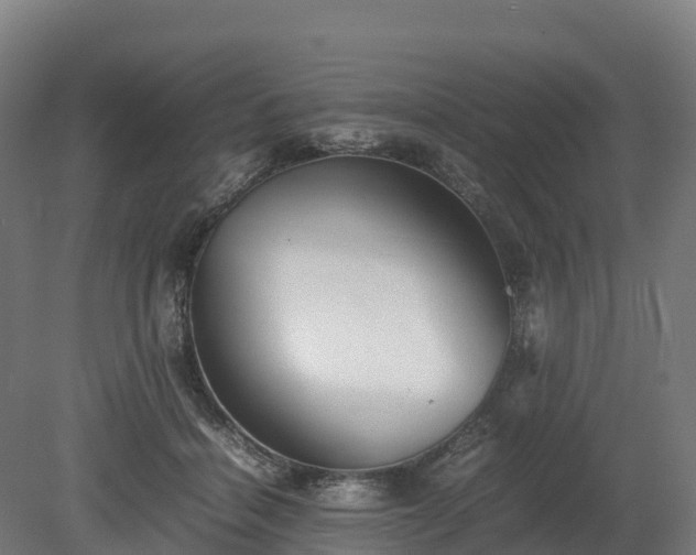 X0000080110460200612151651
