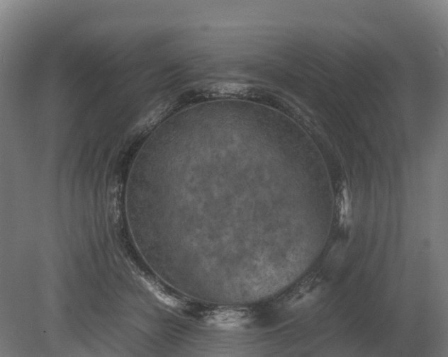 X0000080110462200612151651