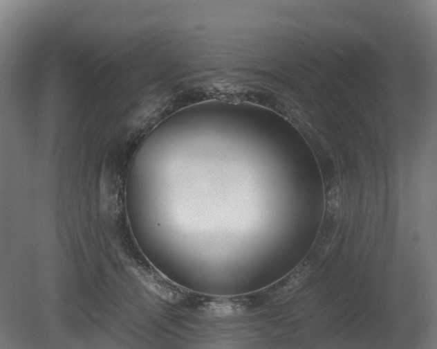 X0000080110464200612151651