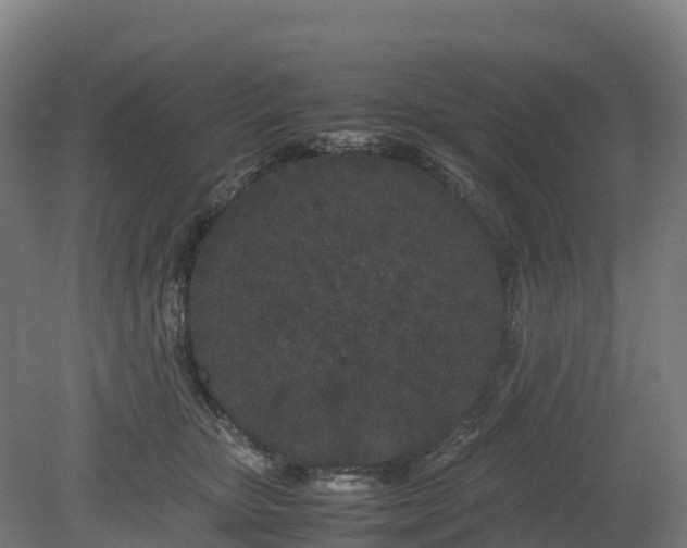 X0000080110467200612151651