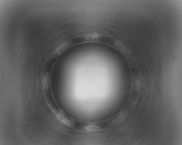 X0000080110468200612151651