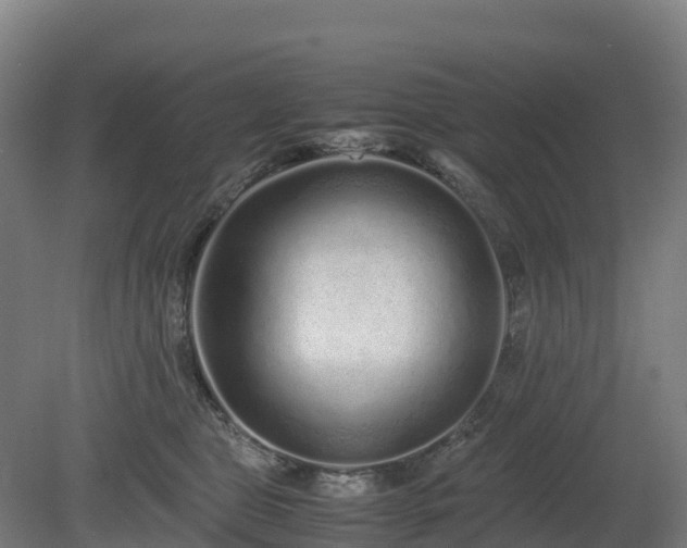 X0000080110469200612151651